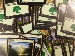 Magic: the Gathering 10 Assorted Basic Forests